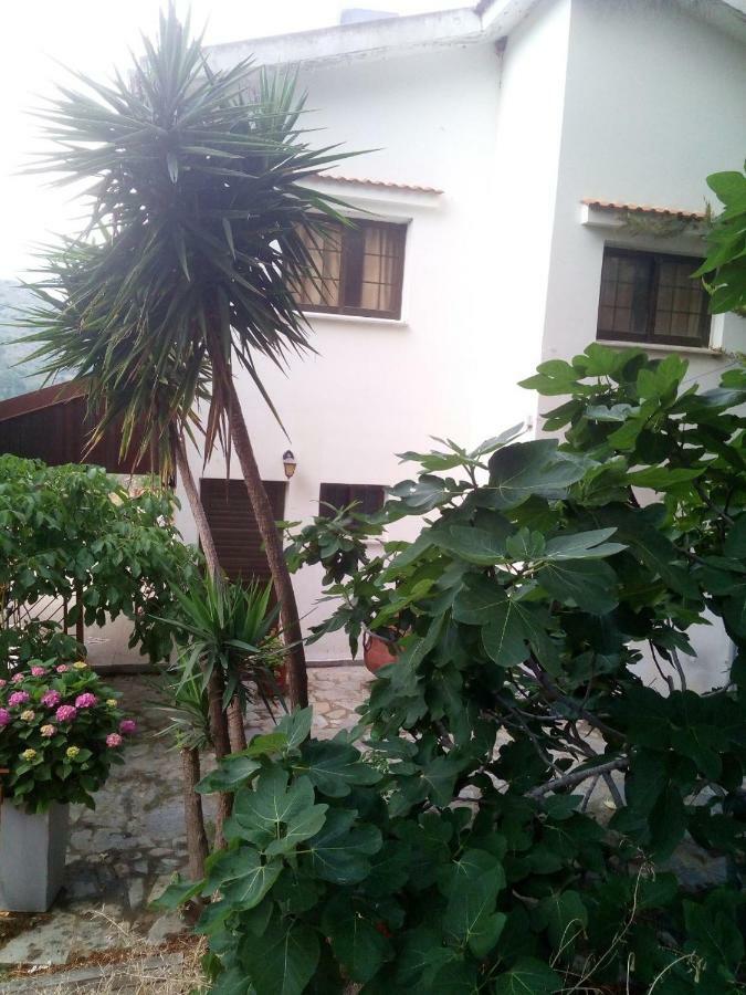 Kampi Double Storey House In The Village Nikozja Zewnętrze zdjęcie